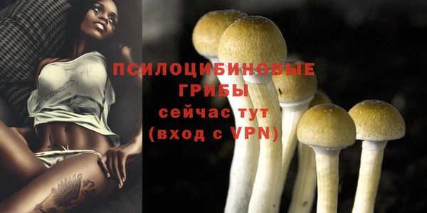 spice Козловка