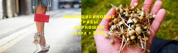 spice Козловка
