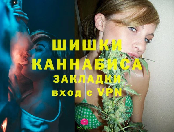 spice Козловка