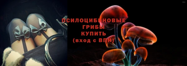 spice Козловка