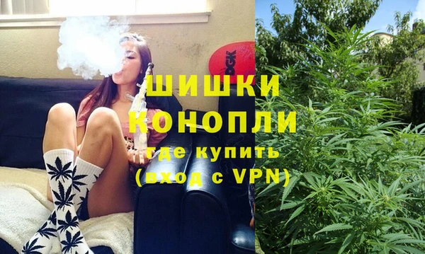 spice Козловка