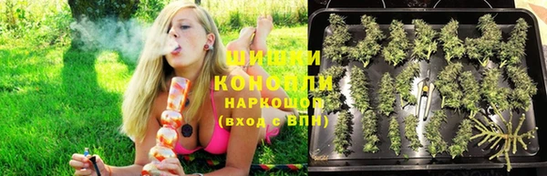 spice Козловка
