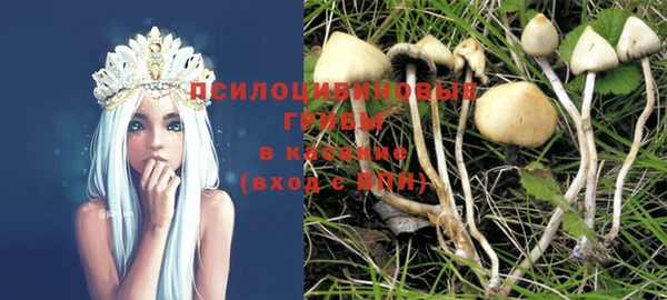 бутират Козельск