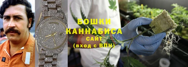 spice Козловка